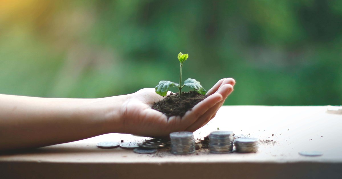Plant growing from coins representing compound interest money growth